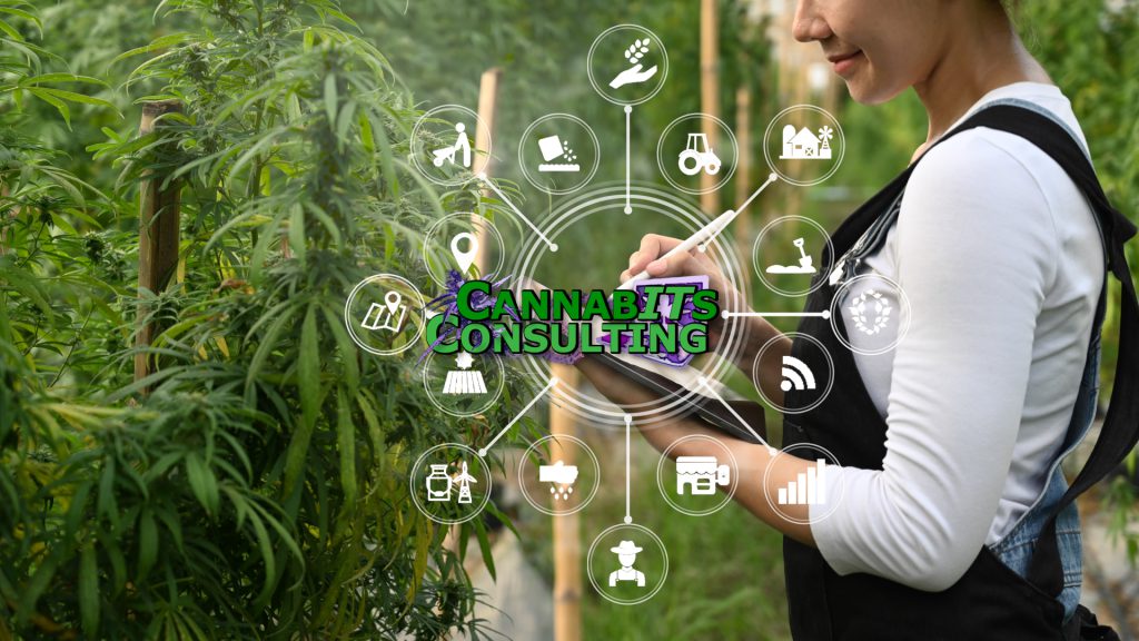 cannabis tech menu photo w cannabits logo